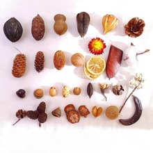 Ȼɹǧy׃@ֹbɻ}QDIY