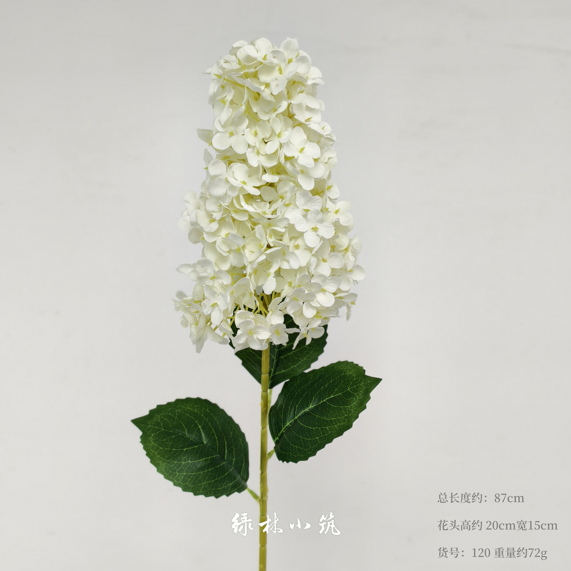 품목번호 120-파고다 수국