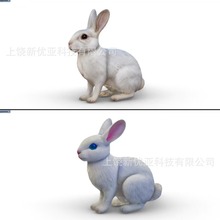 ﹝lÚģccģ϶Úģ