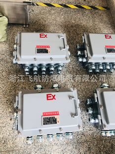 BJX-20/50 explosion-proof junction box