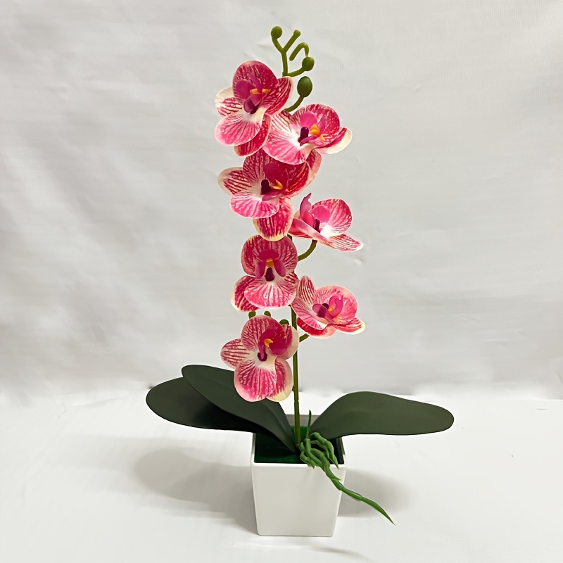 스트라이프 레드 39*23cm