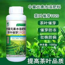 茶叶920专用叶面肥催芽剂爆芽素茶芽丰增产茶树防冻生根剂水溶肥