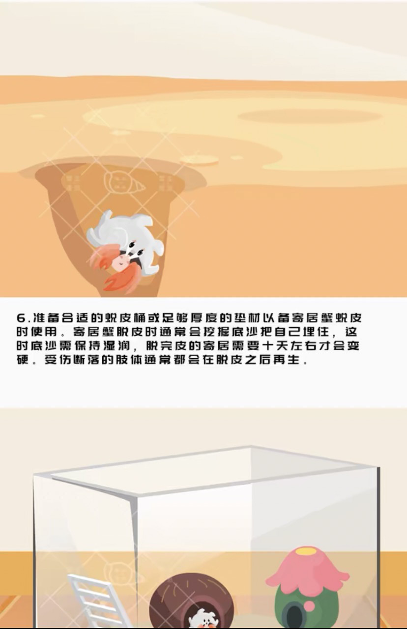 7ba07422-b730-49c1-947e-c51ee323cac5.jpe