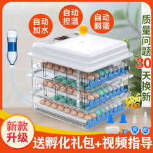 鸡蛋孵化器小型家用型全自动智能孵蛋器芦丁鸡孵化箱孵化机孵小鸡