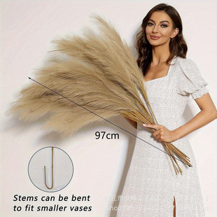 �羳temu���l�����JȔins���W�ҾӔ[̨�b� ��������˹�ݷ�����ë