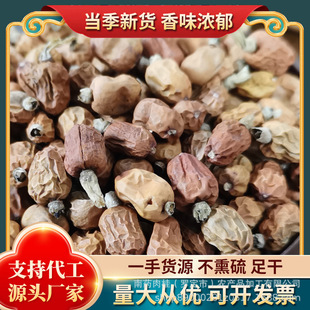 �a�ؼt��ޢ�t�������{�ϰ��������l�u�ϴ��������Ӽtޢ500��