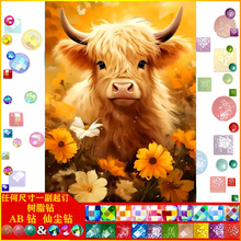 �����ţDIY�ʯ�� ���|AB�ɉm��֬荃�ͯ�����ֹ��c��b����l