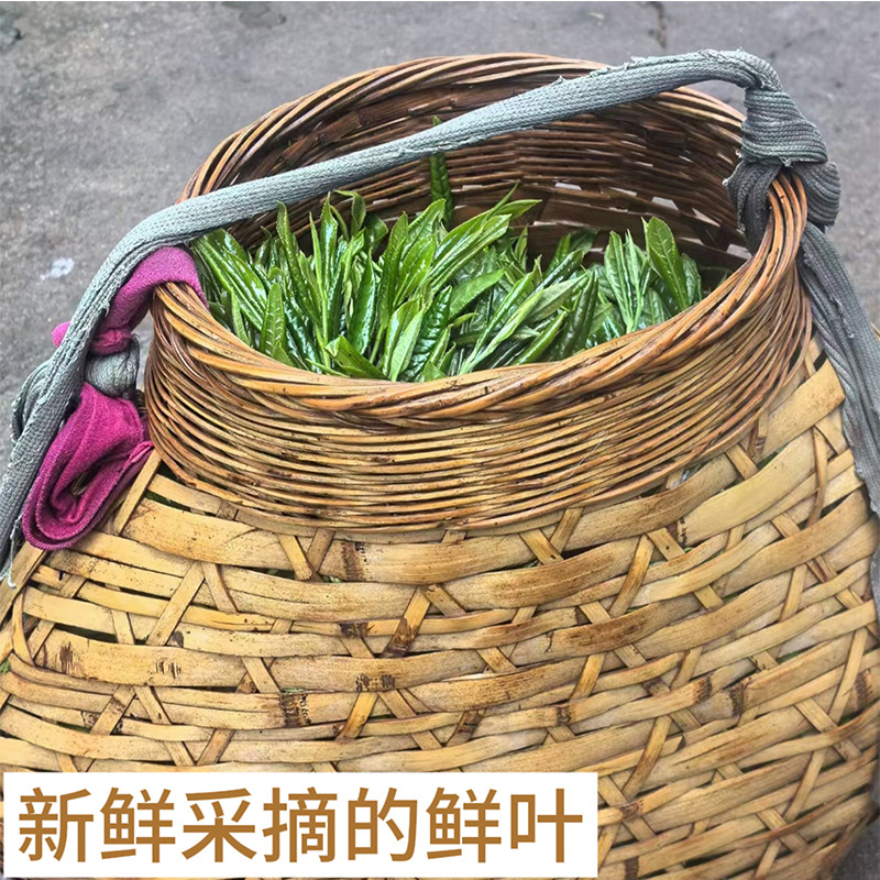 2bb8db22b1d5ede07b65a8689199bd