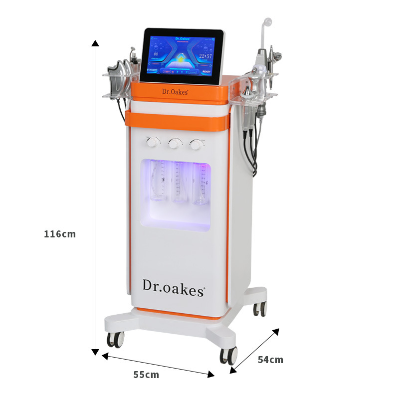 Equipo de belleza multifunción V10 de burbujas grandes 15 en 1 introducción de agua limpieza e hidratación salón de belleza de comercio exterior manejo de la piel