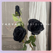 ?ڷɫϵƻ鷿üٻСt]ӆٻõtɫ