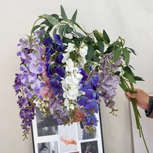 ���滨�������ٻ��ٻ����_�m�㶹����c����b��ٗl�����Ĕz����