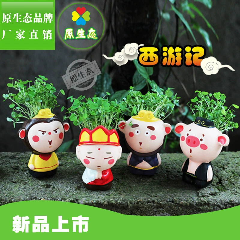 Путешествие на Запад Оригинальное экологическое растение с длинной травяной головой Кукла в мясистом горшке Мини-дом Маленькие украшения Микро-Ландшафтные ремесла