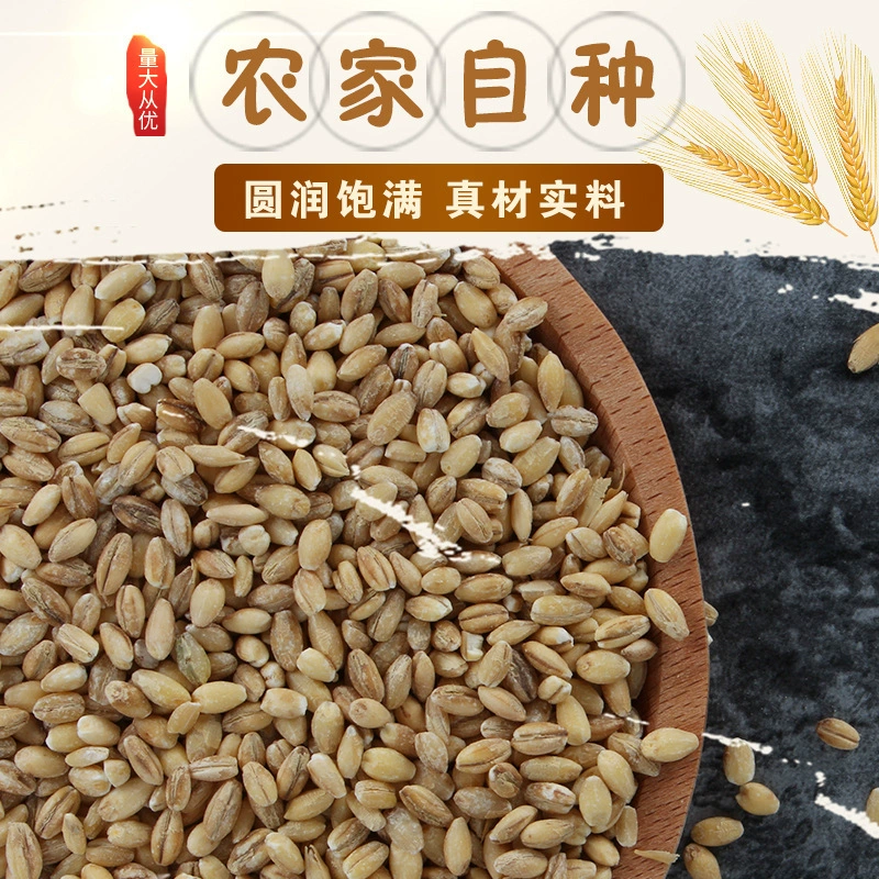 Производители на складе поставляют очищенные ядра ячменя