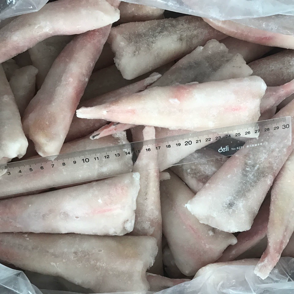 Оптовая продажа полуфабрикатов из замороженных морепродуктов из Чжоушаня, включая морского льва, рыбу-рыбальку и сома.