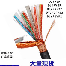 ���d����Ӌ����|���������~о��1/1.5ƽ��DJYP2VP2-22NH-DJYPVP