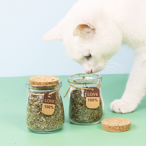 Cat mint bottled crushed leaves promote digestion and eliminate hair balls mint powder cat snacks manufacturer cat snacks wholesale