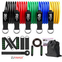 Resistance Band Set with D-Ring Equipment for Yoga and Fitness, Stretching Band with 11 Pieces