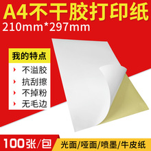 a4�����z�˺��N��210*297���������za4�˺���A4�����z��ӡ���˺�