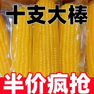 �|���SŴ������Ŵ���������հ��b����Ŵ���װ�10���S��������