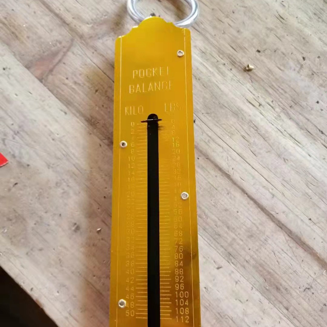 50 kg gancho de escala de Myanmar unidad de escala de resorte escala de mano escala de equipaje escala mecánica