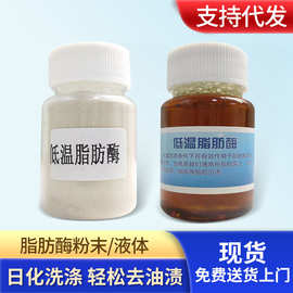 高活性生物酶10万酶活力液体蛋白酶去渍粉末活性酶洗涤剂酶制剂现
