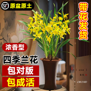 �m�����Ԏ������l؛���F����ֲ�����m�����ļ��_���Gֲ�҃ȸ߼�ī