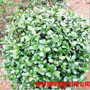 ���� һ�ןo���۹��� �o���۹�����r�� ���جF�� �ڷ��Rȫ