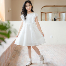 女童连衣裙2024夏韩版童装蕾丝公主裙礼服钢琴表演主持服装中大童
