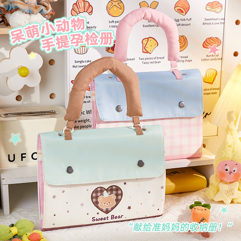 New Portable A4 Maternity Check-Up Report Storage Bag, Pregnancy Baby Examination Report Storage Pouch