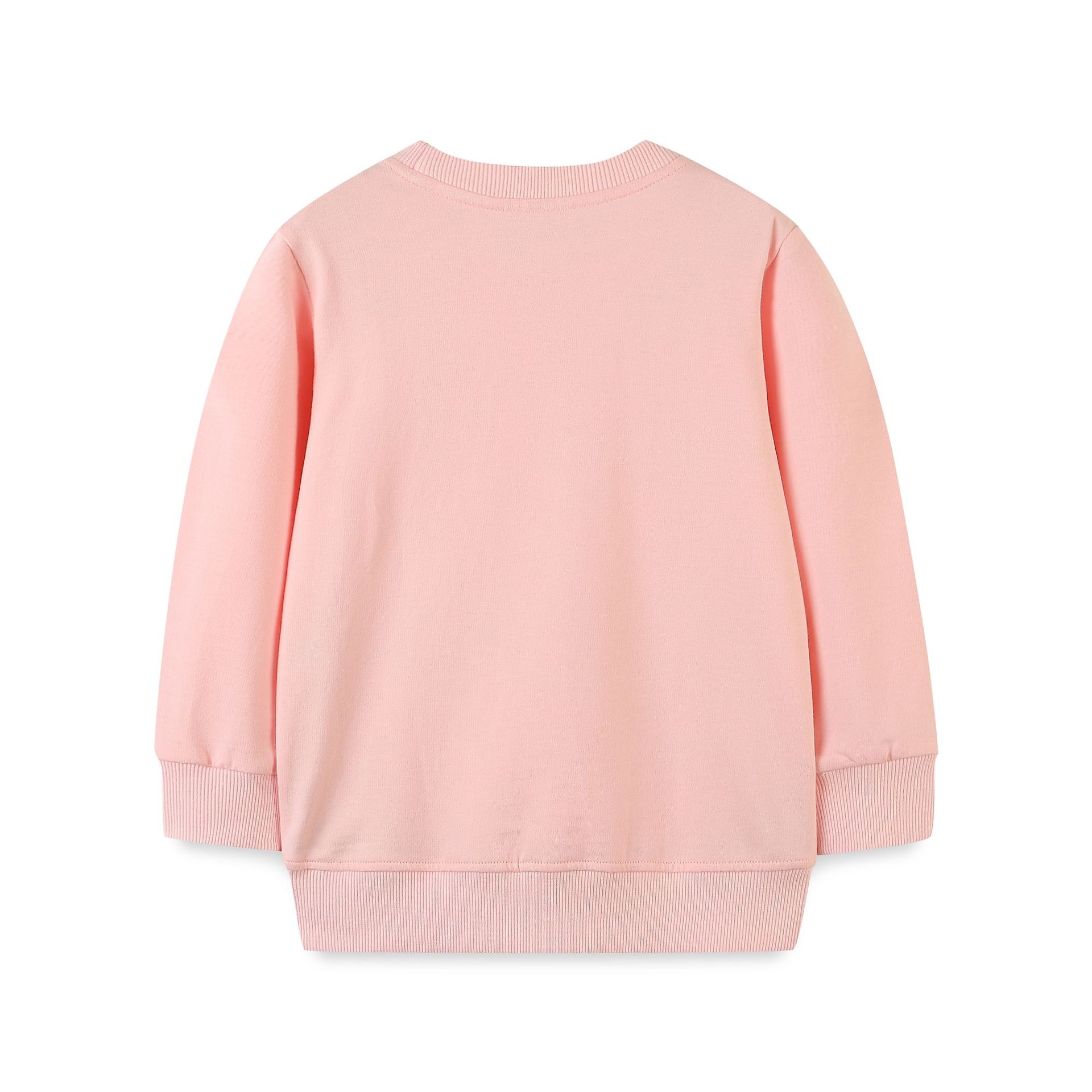 Sudadera de manga larga para niñas, estilo europeo y americano, con dibujos animados bordados, para otoño.