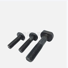 煏Sҹ 8.8 ߏ T ˨L T ݽz