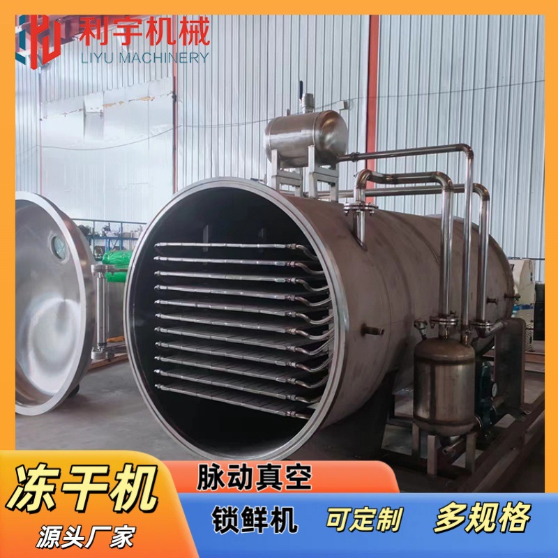 羊背子真空冻干机采摘鲜果锁鲜机蓝莓草莓脉动真空冻干机