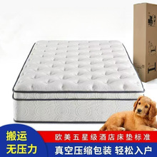 五星级酒店独立袋装弹簧压缩卷包盒子加厚静音希尔顿乳胶床垫工厂