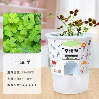 Niños crecen pequeñas plantas de maceta estudiantes de observación de girasol fresas diy juguetes adornos de mesa al por mayor