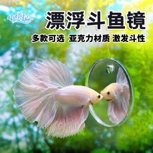 ���������~Ӗ���R�� �����_�h����Ư�����p���R ���P�~���ⶺ�~�R