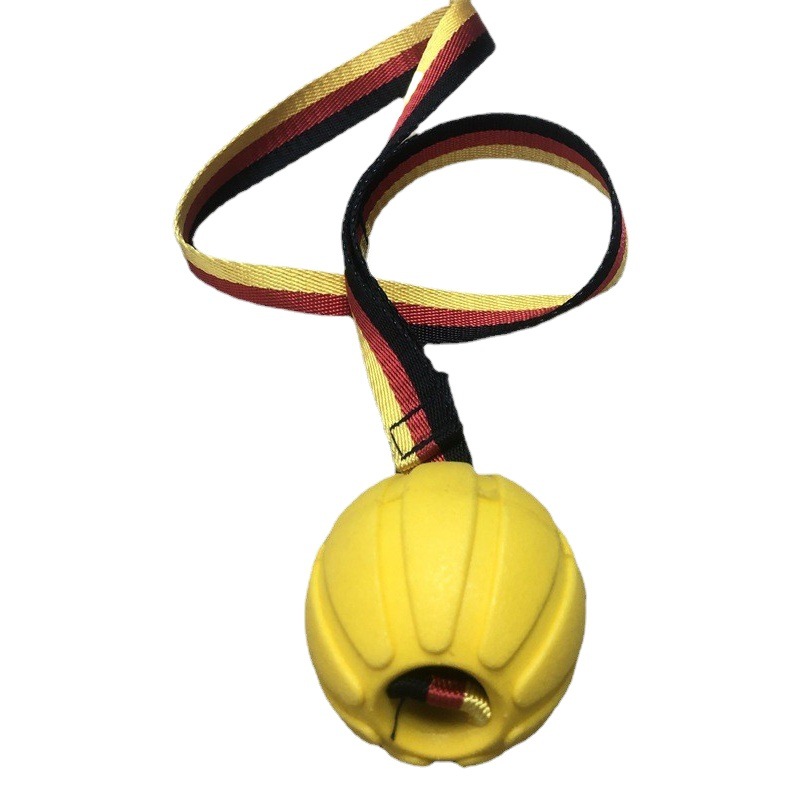 Juguete para mascotas perro Frisbee cachorro juguete molar entrenamiento de béisbol anillo tracción bola ventilación mordedura no podrido