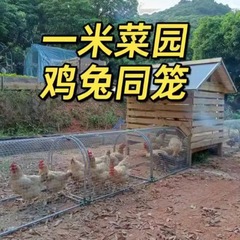 屋外養鶏滑走路散養鶏子トンネル専用散棚鶏籠散歩地養鶏の移動養殖網