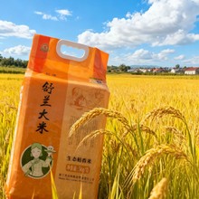 舒兰大米稻香米普通粳米软糯珍珠米5kg袋装珍珠米斤装大米