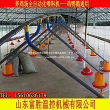 养鸡场自动喂料机养鸭自动喂料机投料机蛟龙料线鸡鸭鹅用简易料线