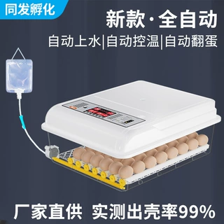跨境孵化器小型家用全自动控温鸡鸭鹅鸽子鹌鹑芦丁鸡孵蛋器智能