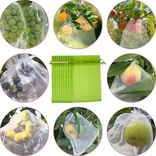 �羳���Nˮ�����o�W�������KFruit Protection Bags���B���x�W��