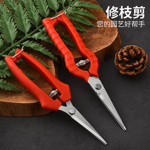�r�ü��������軨ϡ��ժ�������@ˇ�޼����P�ժ�����߲�ˮ������