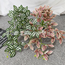 ����ڒ�3D��ӡ��ü�~�zƬ�ٻ�����ֲ��҃ȼҾ��b�������ü