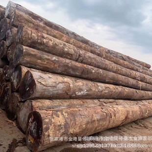 �sľ�����sľ���Ӳ�sľ�t�s���sԭľ����x�۰�ð���ܶȌ�ľ��