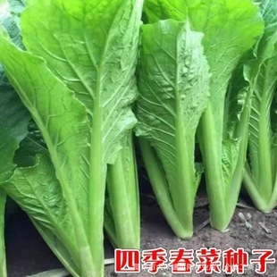 ���˷N���ļ����˷N�Ӵ���˷N���͟��ͺ����˷N����˳��Ǵ���