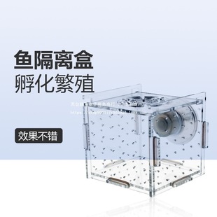 Separation Box Fish Tank Transparent Aquarium Small Fish Fry Incubator Breeding Box Production Box Single Double Multi-Grids Separation Box Acrylic