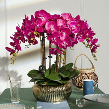 �ָк����m���滨ˇ�ٻ����Ԕ[�O�͏d�Ƶ�������b�Ʒ�廨�ܔ[��