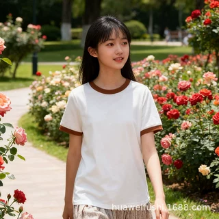 女式短袖T恤撞色小衫正肩圆领百搭夏季上衣纯色打底休闲女装批发