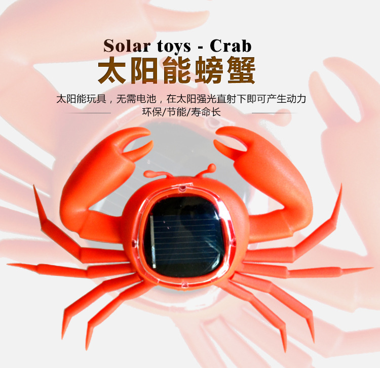 Saltamontes solar grillo solar insecto solar energía solar Ciencia y educación educativa para niños juguete experimental