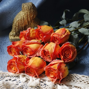 �f�}���b���õ�廨�ٻ��Ҿ��b�c��߅�𿾽���õ��